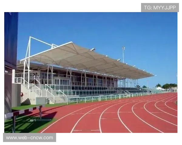 看台管理标准逐步统一，提升观赛安全体验